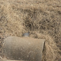 PXL_20260130_215345872.RAW-01.COVER.jpg