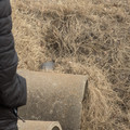 PXL_20260130_215348114.RAW-01.COVER.jpg