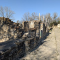 PXL_20260131_195134539.RAW-01.COVER.jpg