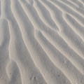 PXL_20260131_225322600.RAW-01.COVER.jpg