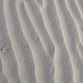 PXL_20260131_225336400.RAW-01.COVER.jpg