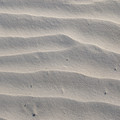 PXL_20260131_225342418.RAW-01.COVER.jpg