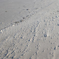 PXL_20260131_225440841.RAW-01.COVER.jpg