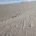 PXL_20260131_225444951.RAW-01.COVER.jpg