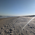 PXL_20260131_225518233.RAW-01.COVER.jpg