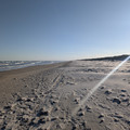 PXL_20260131_225523657.RAW-01.COVER.jpg