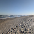 PXL_20260131_225529330.RAW-01.COVER.jpg