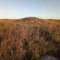 PXL_20260131_232312956.RAW-01.COVER.jpg
