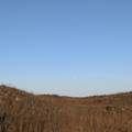 PXL_20260131_232714907.RAW-01.COVER.jpg
