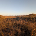 PXL_20260131_233023851.RAW-01.COVER.jpg