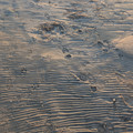 PXL_20260131_235112409.RAW-01.COVER.jpg