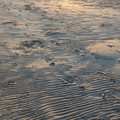 PXL_20260131_235119678.RAW-01.COVER.jpg