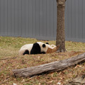DSC01216.JPG