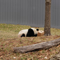 DSC01217.JPG