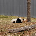 DSC01218.JPG