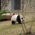 DSC01223.JPG