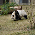 DSC01224.JPG