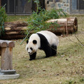 DSC01225.JPG