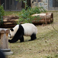 DSC01226.JPG