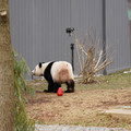 DSC01227.JPG