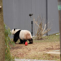 DSC01228.JPG