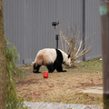 DSC01229.JPG