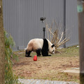 DSC01230.JPG