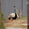 DSC01231.JPG