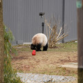 DSC01232.JPG