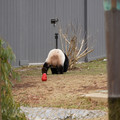 DSC01233.JPG
