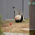 DSC01234.JPG