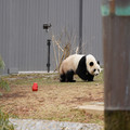 DSC01235.JPG
