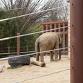 DSC01236.JPG