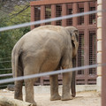 DSC01239.JPG