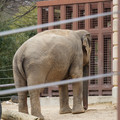 DSC01240.JPG