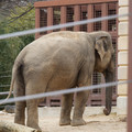 DSC01242.JPG