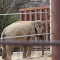 DSC01243.JPG