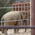 DSC01244.JPG