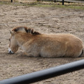 DSC01245.JPG