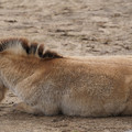 DSC01246.JPG