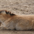 DSC01247.JPG