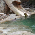 DSC01248.JPG