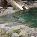 DSC01249.JPG