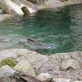 DSC01250.JPG
