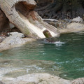 DSC01251.JPG