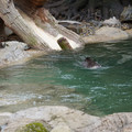DSC01252.JPG
