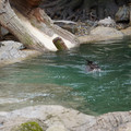 DSC01253.JPG