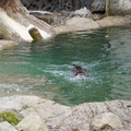 DSC01254.JPG