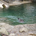DSC01255.JPG