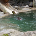 DSC01256.JPG